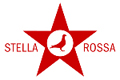 stella rossa