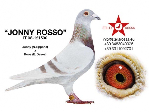 JONNY ROSSO