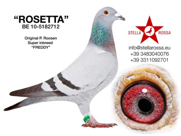ROSETTA